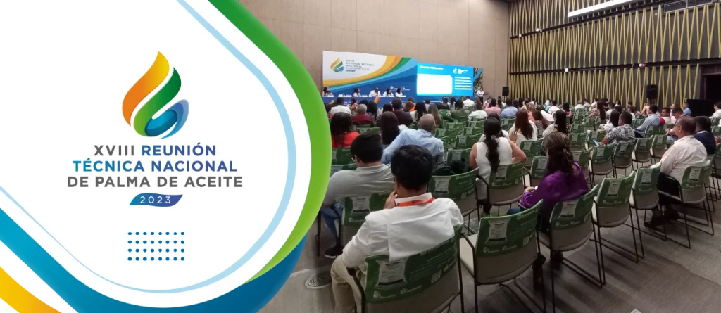 La palmicultura colombiana sigue su apuesta en marcha por el desarrollo sostenible