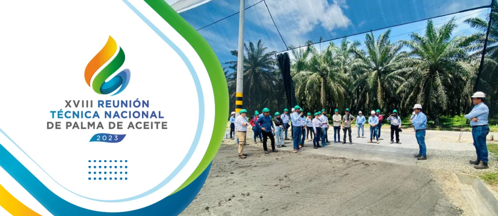 Avances tecnológicos y sostenibles en la extracción de aceite de palma