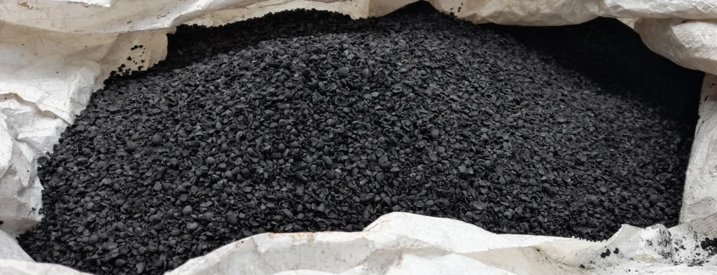 Biocarbón de cuesco del fruto de palma de aceite