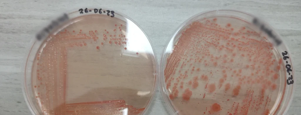 Consideraciones técnicas sobre el almacenamiento y calidad de los biofertilizantes