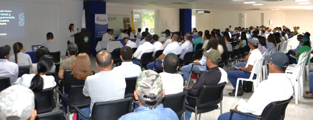 Núcleos Palmeros y asistentes técnicos fortalecen conocimientos en plagas y enfermedades asociadas al cultivo de palma