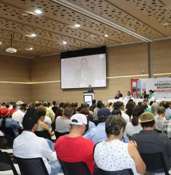 El sector palmero construye región en los Llanos Orientales