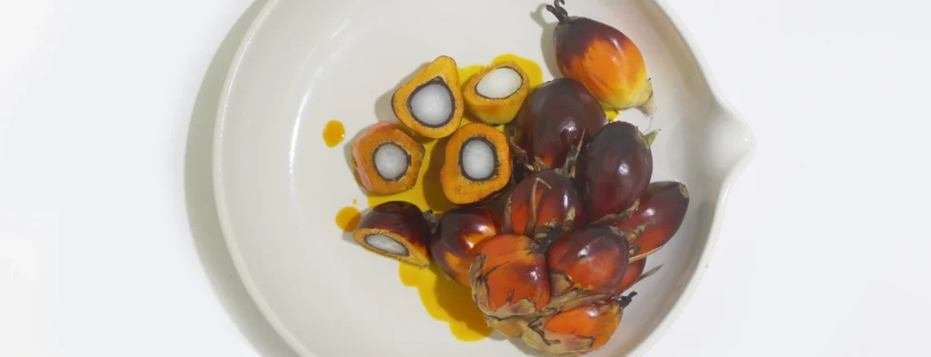 Tecnologías disponibles para la extracción, concentración y/o fraccionamiento del conjunto de fitoquímicos