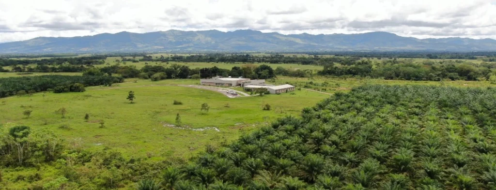 Grandes empresas en Colombia firman un compromiso por la sostenibilidad al año 2050