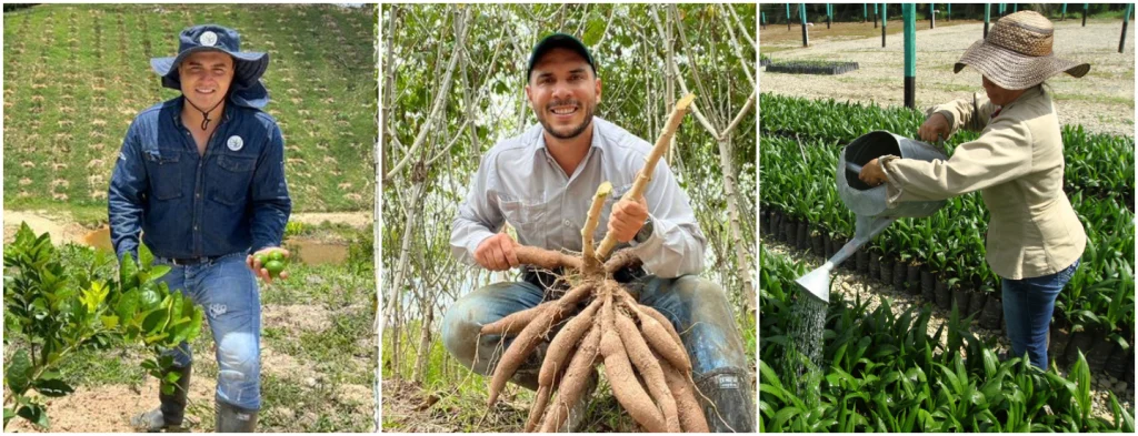 Abren convocatoria para reconocer a jóvenes agricultores de Colombia y Latinoamérica menores de 35 años
