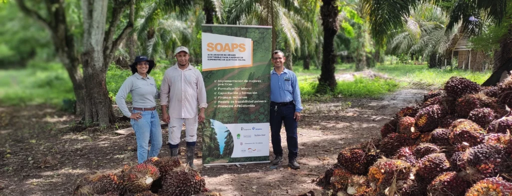 Extensión Solution: herramienta digital para avanzar en la medición de la sostenibilidad del sector en el Cesar