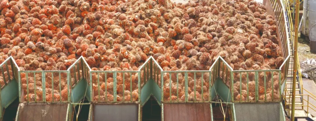 La calidad de aceite, fundamental para la productividad