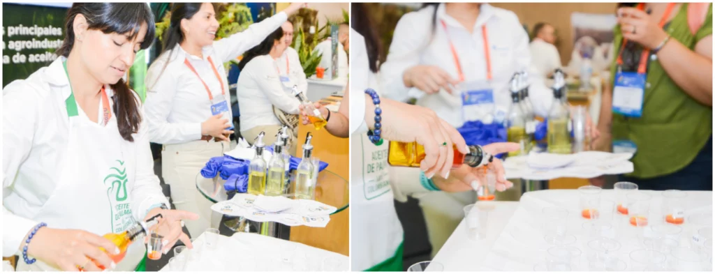 Escuela de Aceites: ciencia y sabor para decisiones alimenticias informadas