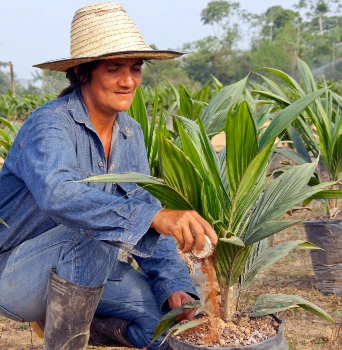 Abierta la convocatoria 2023 del programa '500 Mil Agroempresarias CCI'