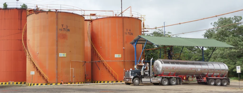 Las importaciones de aceite vegetal de China en diciembre caen un 12 % intermensual debido al aumento de los inventarios