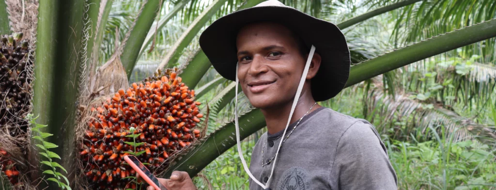 Cenipalma lanza PalmaBot, un chatbot de inteligencia artificial al servicio del palmicultor