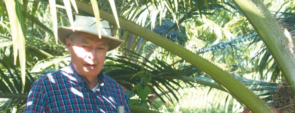 Argemiro Reyes Rincón: una biblia de la palma de aceite