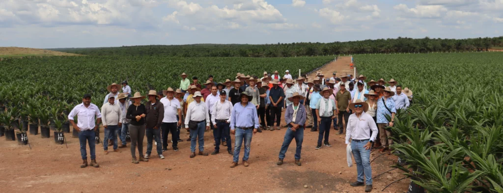 Renovación e implementación de tecnologías aplicadas al cultivo de palma de aceite, retos del Núcleo Aceites Cimarrones S. A. S
