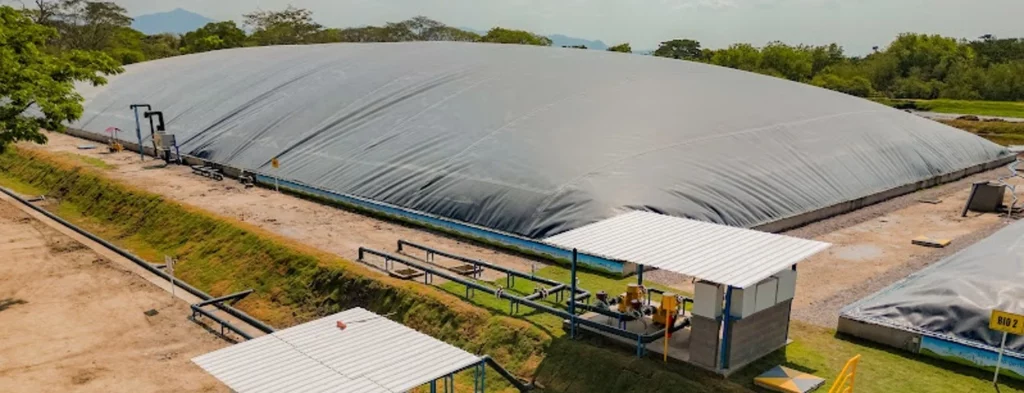 Gremca S. A., primera empresa palmera en el Cesar con planta de generación de energía a partir de biogás