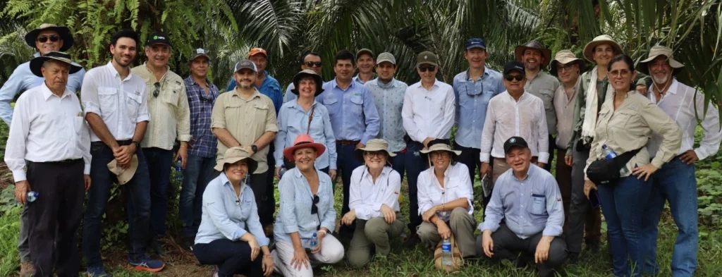 Córdoba, un departamento con palmicultura en desarrollo
