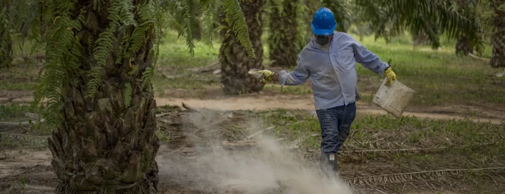 ¿Por qué es importante adoptar mejores prácticas agronómicas para la aplicación de fertilizantes?