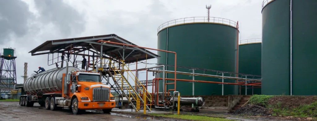 En 2024 la producción de aceite de palma arrancó con 155.000 toneladas