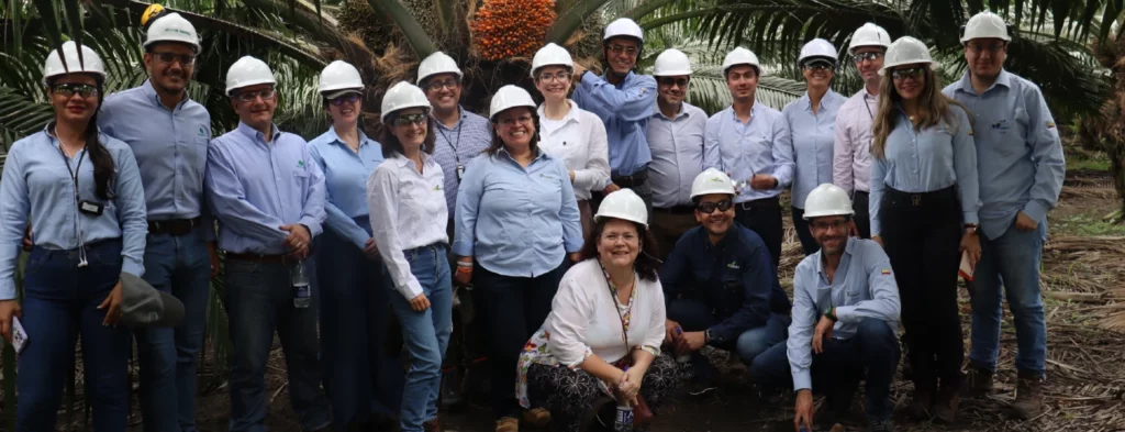 El sector palmero le apuesta al mercado de los combustibles sostenibles de aviación (SAF)