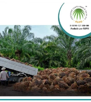 Abierta convocatoria para el curso de formación para Auditor Líder RSPO