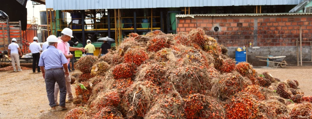 En 2023 se procesaron 2.441.840 toneladas de RFF en la Zona Central