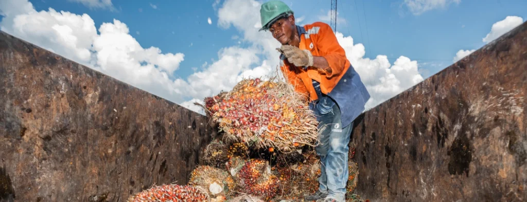 Así fue la producción y venta local del aceite de palma en el primer trimestre de 2024