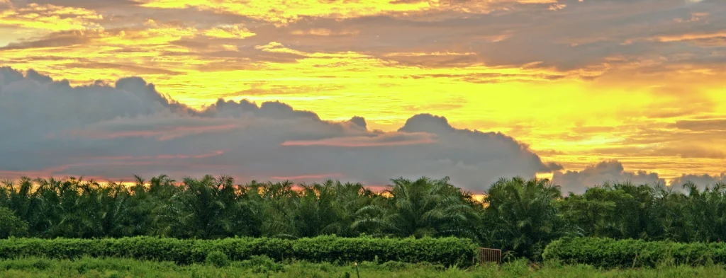 Predicciones fenómeno El Niño para el mes de abril