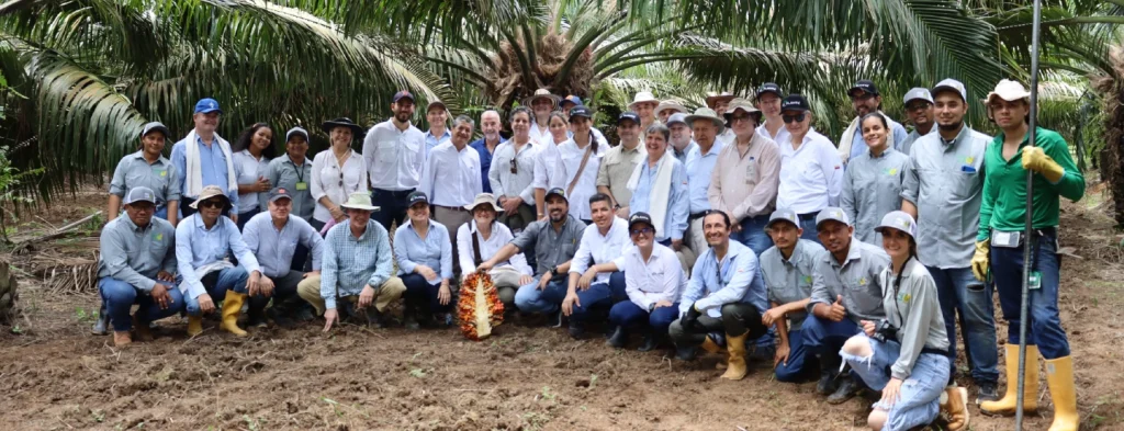 Urabá antioqueño, una región palmera sostenible
