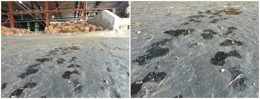 MOSH y MOAH en el aceite de palma preguntas y respuestas