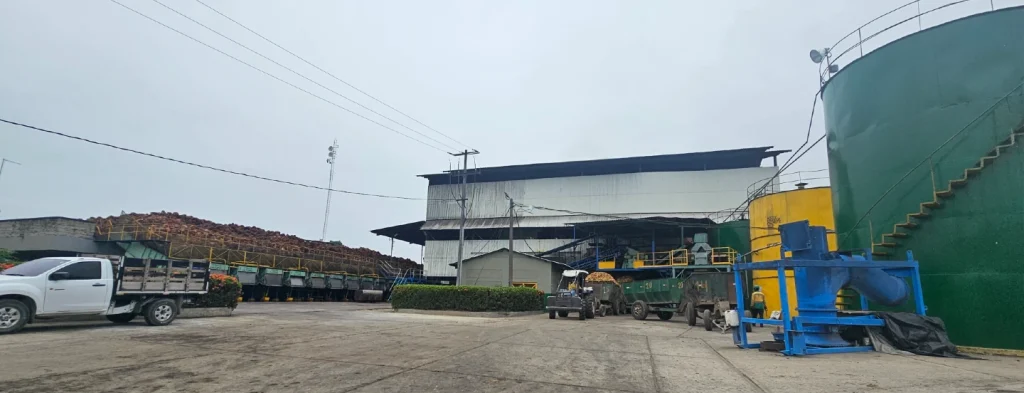 El aceite de palma colombiano es sostenible y tiene un gran potencial para la producción de combustibles sostenibles de aviación