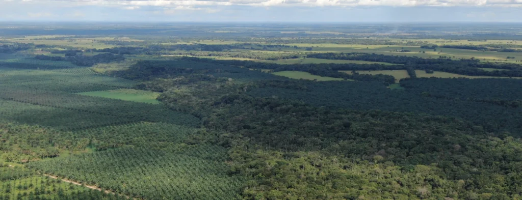 Atentos a las predicciones fenómeno El Niño para el mes de mayo