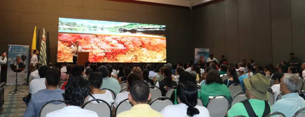 Fortalecer la sostenibilidad del sector palmero a través de la colaboración y el compromiso, iniciativas de Fedepalma en la Audiencia Pública de Cormacarena