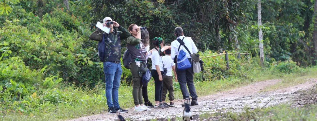 Récord de avistamientos de aves en el sector palmero en el Global Big Day 2024