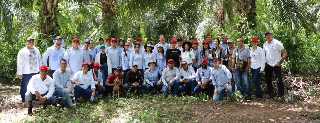 Cenipalma presenta tecnologías agronómicas para enfrentar la variabilidad climática en el cultivo de palma de aceite en el departamento del Cesar
