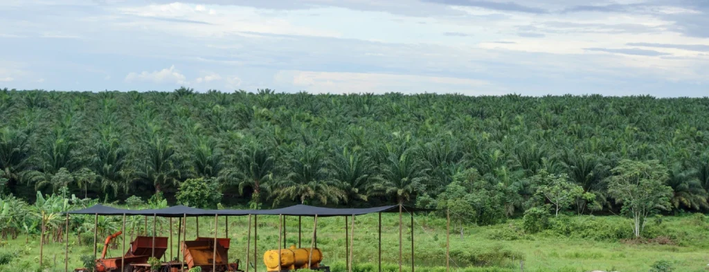 Atentos a las predicciones fenómeno El Niño para el mes de junio