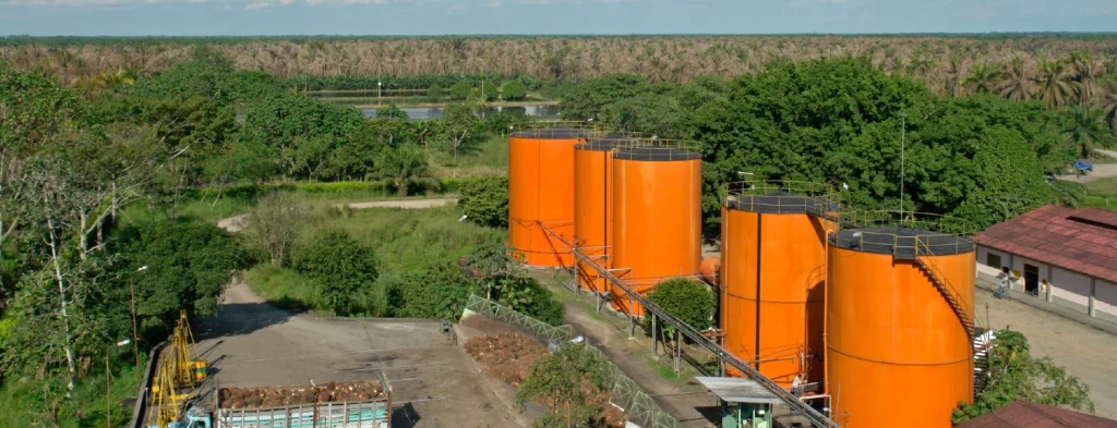 En mayo la producción de aceite de palma registró una leve caída con relación al año anterior