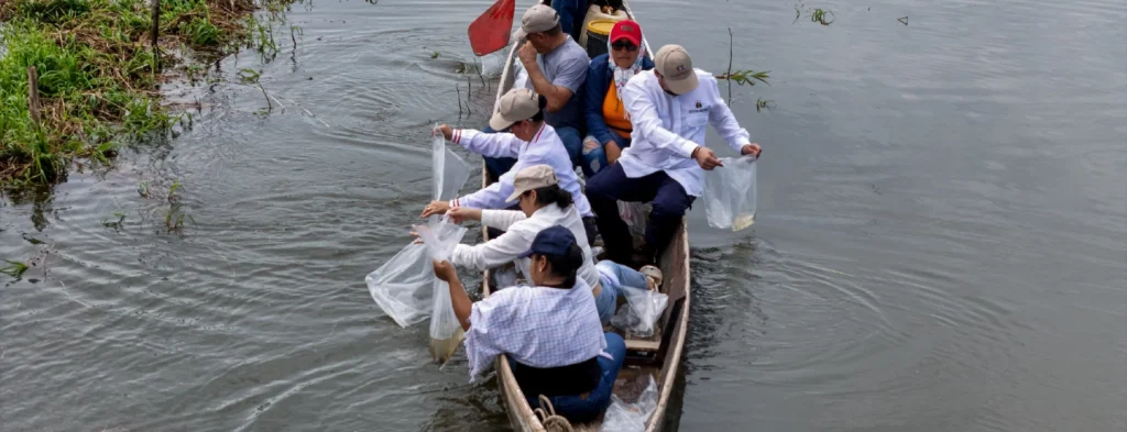 30.000 alevinos fueron sembrados en ciénaga de sur de Bolívar