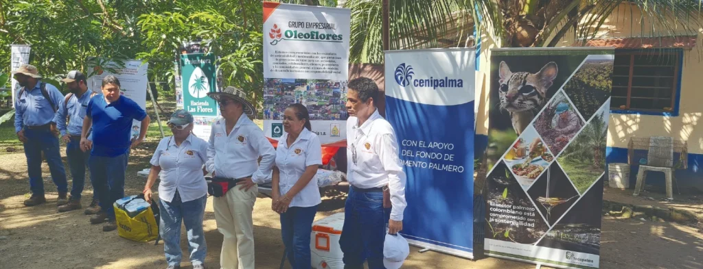 Sostenibilidad integral: la clave para el futuro del sector palmero