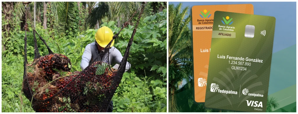 Banco Agrario lanzó su tarjeta débito exclusiva para palmicultores