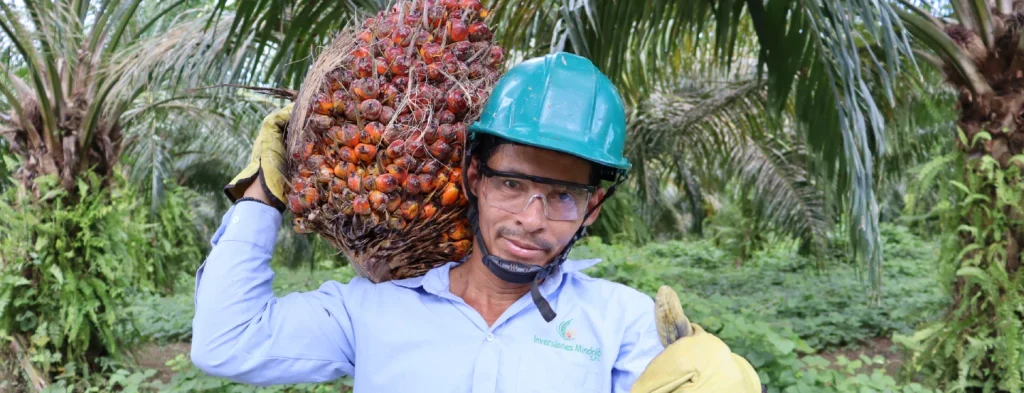 Principales resultados de la gestión del Fondo de Fomento Palmero en 2023