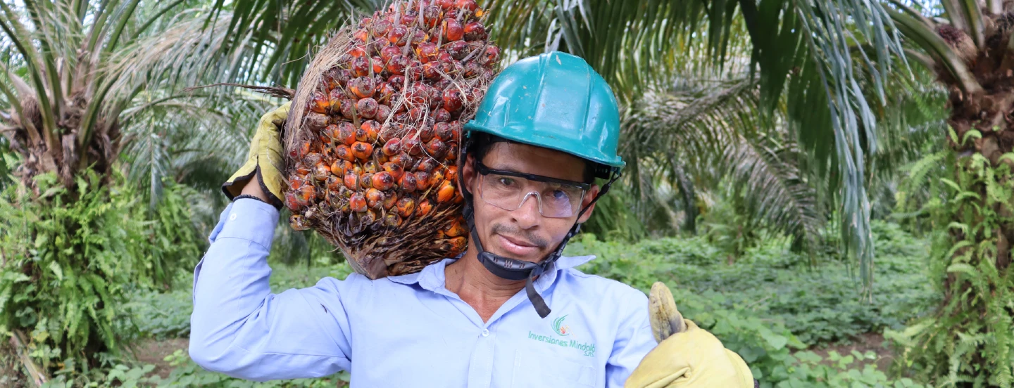 Principales resultados de la gestión del Fondo de Fomento Palmero en 2023