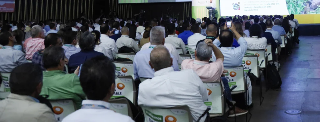 Conozca los integrantes elegidos para conformar la Junta Directiva de Fedepalma para el período 2024-2026