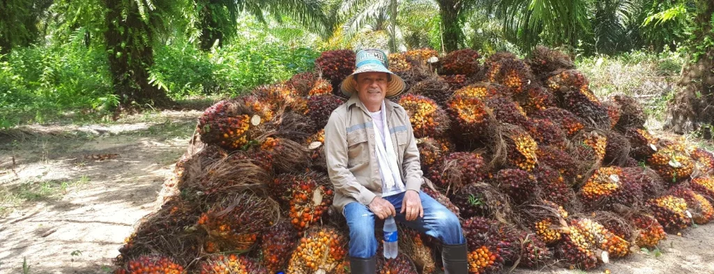 Roque Julio Gómez, el productor del Catatumbo que le hizo un poema a la palma de aceite