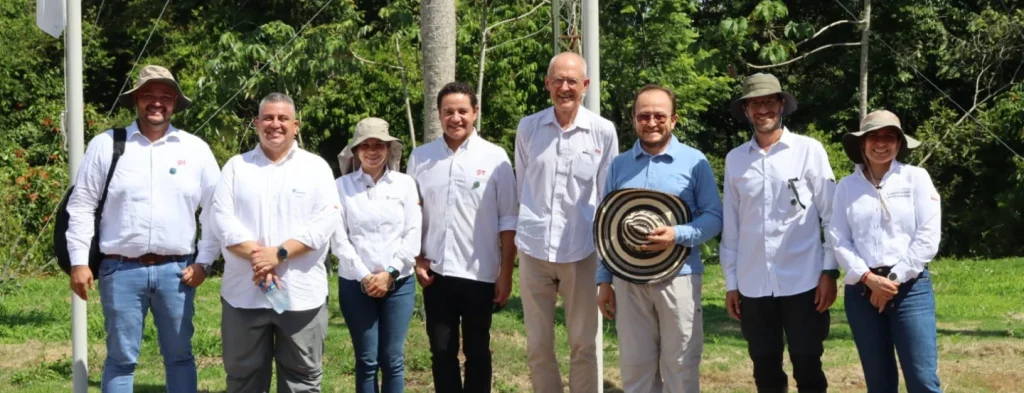 La palma es provechosa para el ambiente y para el desarrollo social