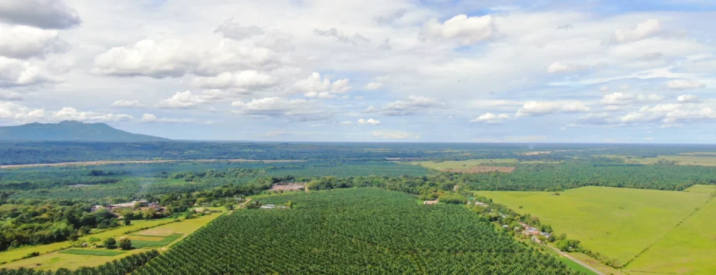 Parte 2: variabilidad climática en zonas palmeras de Colombia