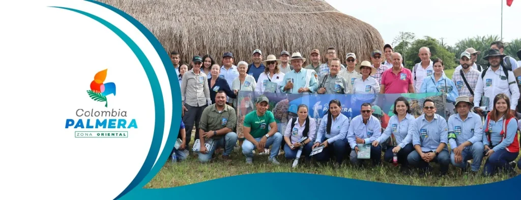 Modelos asociativos y prácticas sostenibles en la palmicultura de la Zona Oriental