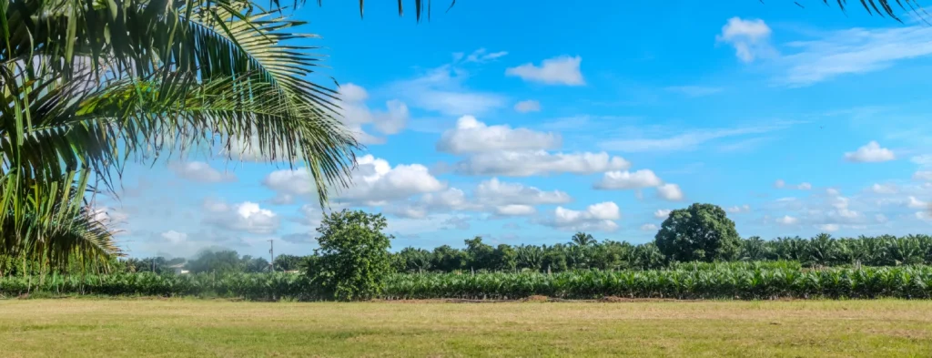 Atentos a las predicciones fenómeno El Niño para el mes de agosto