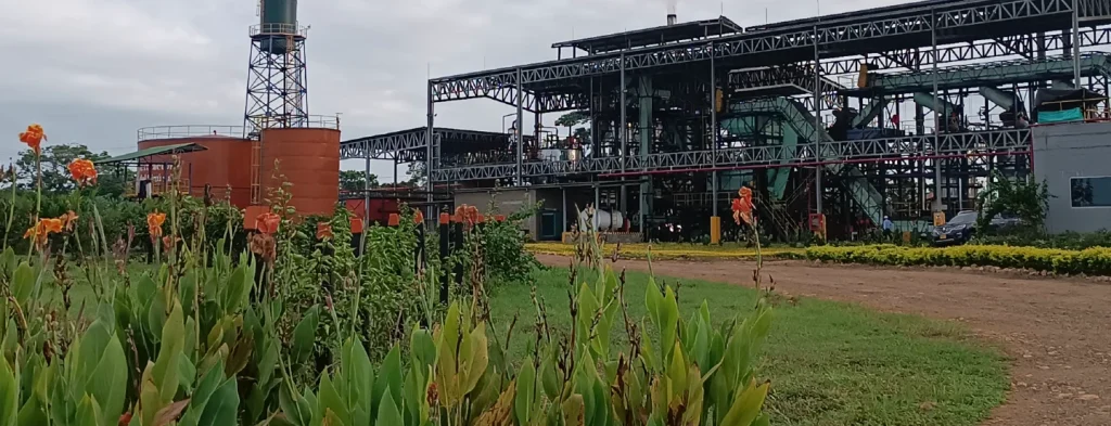 Biorrefinería, bioenergía y transición energética