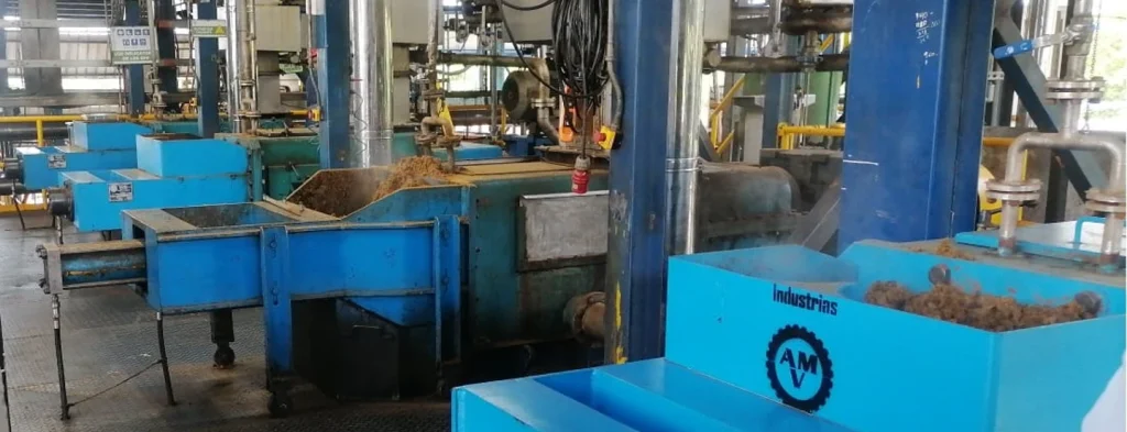 Una mirada al uso de la capacidad de procesamiento de racimos de fruta fresca en Colombia durante el primer semestre del 2024