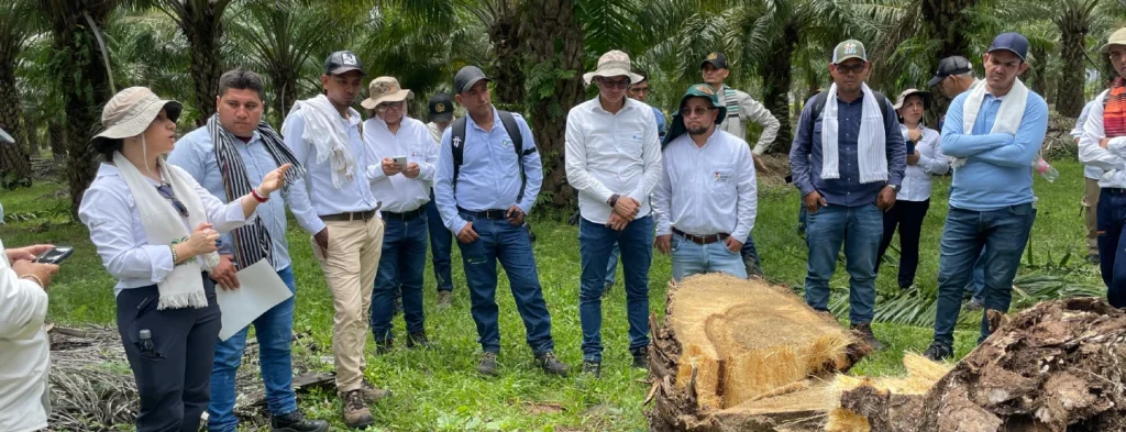 Unificación de criterios para el manejo fitosanitario de la Zona Central