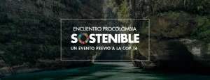 Fedepalma participará en el Encuentro ProColombia Sostenible 2024 previo a la COP16